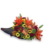 Harvest Horn Of Plenty