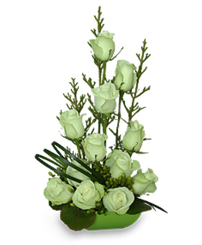 Jade Green Roses