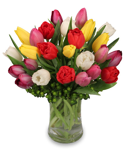 Tip Top Tulips