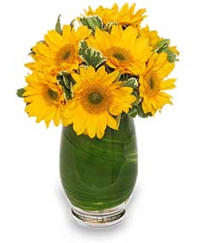 Sunny Day Greetings