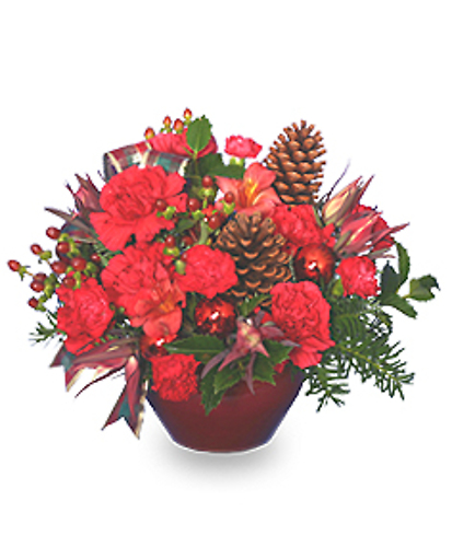 It\'s Christmas Time!