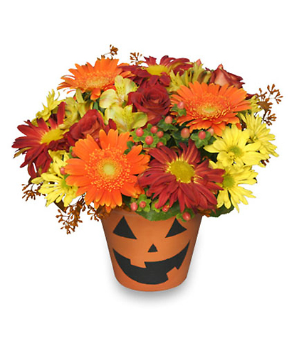 Bloomin\' Jack-o-lantern