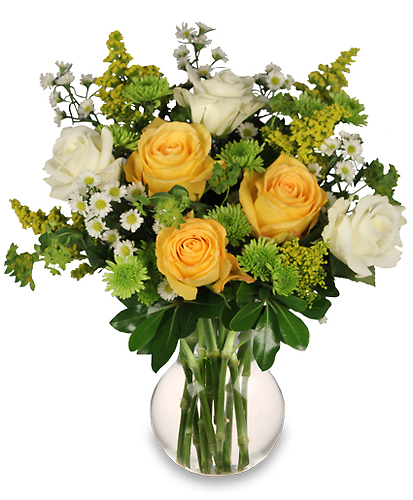 White &amp; Yellow Roses