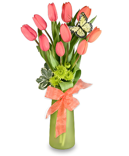 Thoughtful Tulips