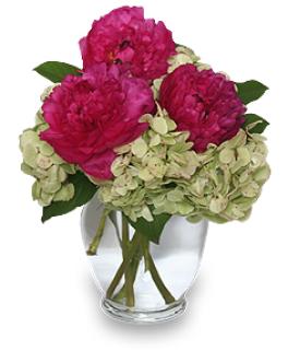 Glorious Magenta