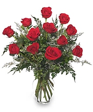 Classic Dozen Roses