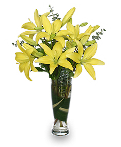 Rise &amp; Shine Lilies