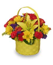 Bright &amp; Sunny Basket